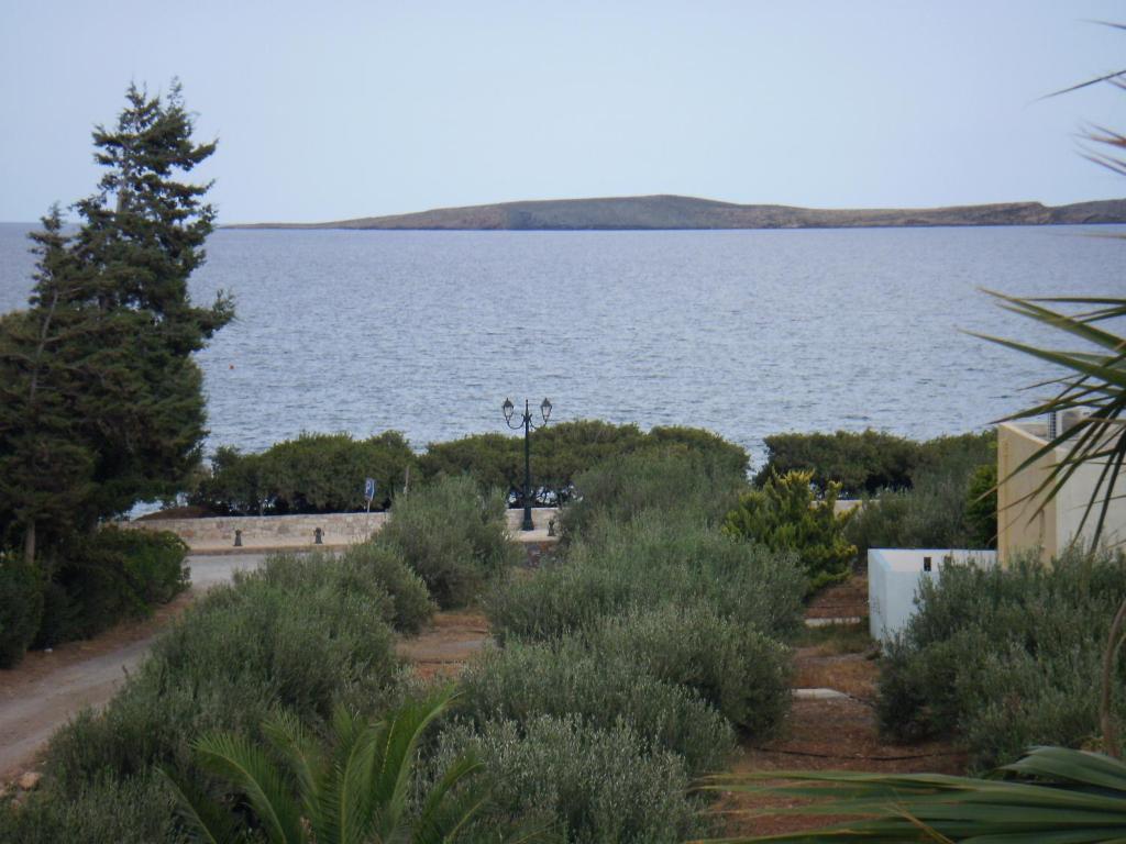 Kouremenos Beach Apartments Palekastro Exteriör bild