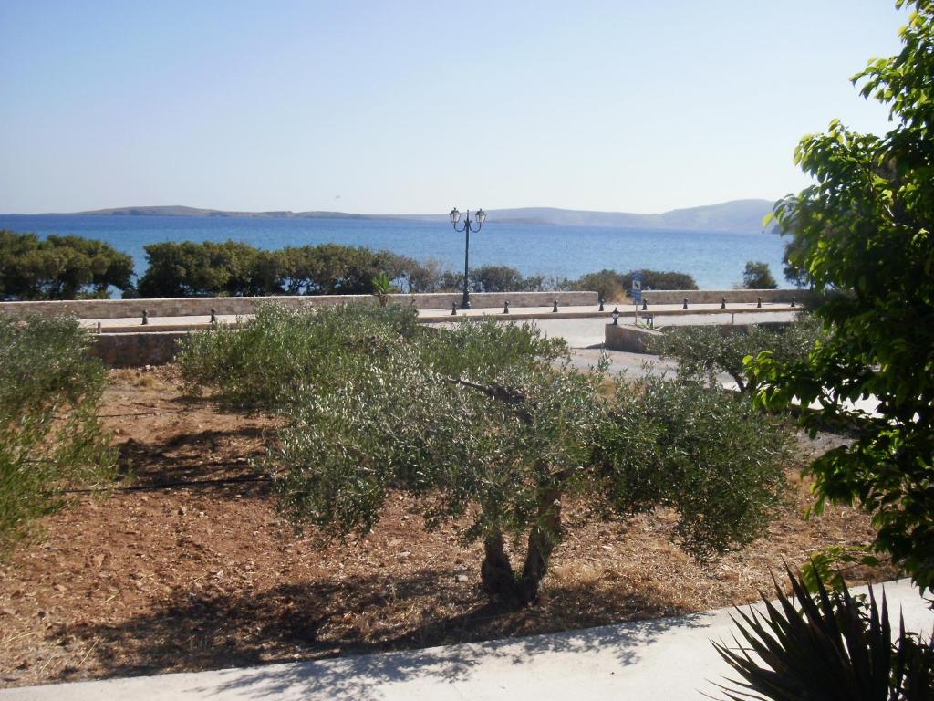 Kouremenos Beach Apartments Palekastro Exteriör bild